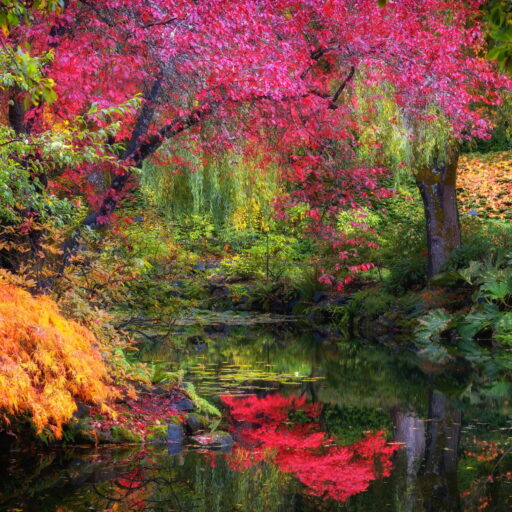 Galleries, Gardens, gardens(), industrial, gardens